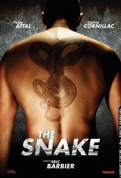 Poster of the movie The Snake