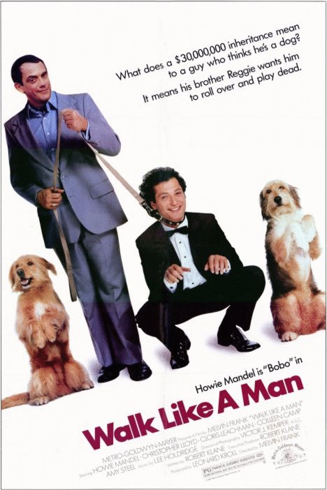 Poster of the movie Walk Like a Man