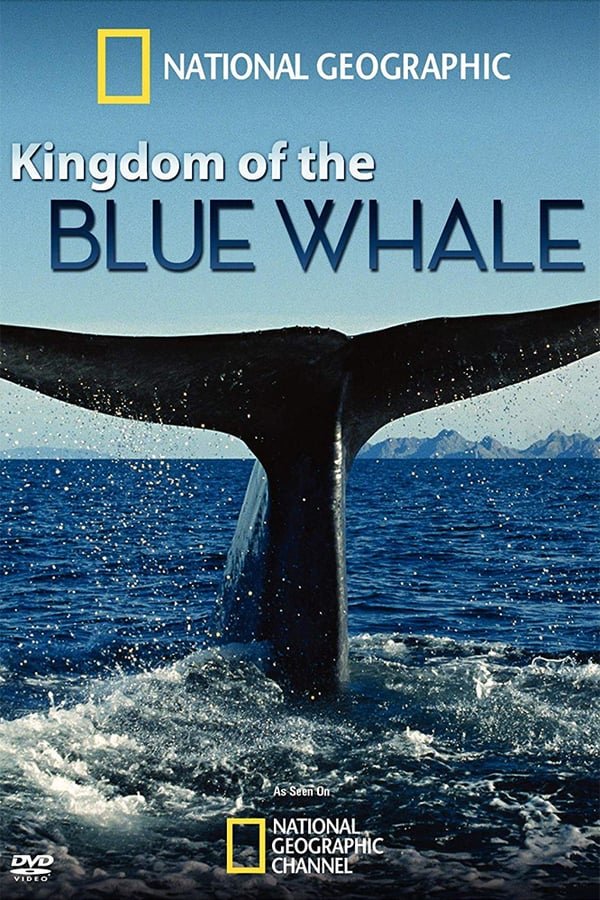Poster of the movie Kingdom of the Blue Whale