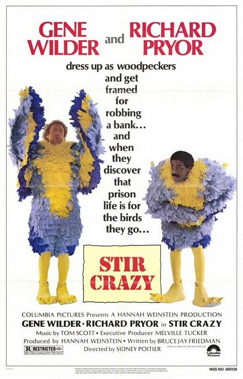 Poster of the movie Stir Crazy