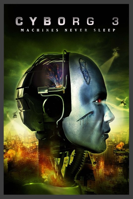 Poster of the movie Cyborg 3: The Recycler