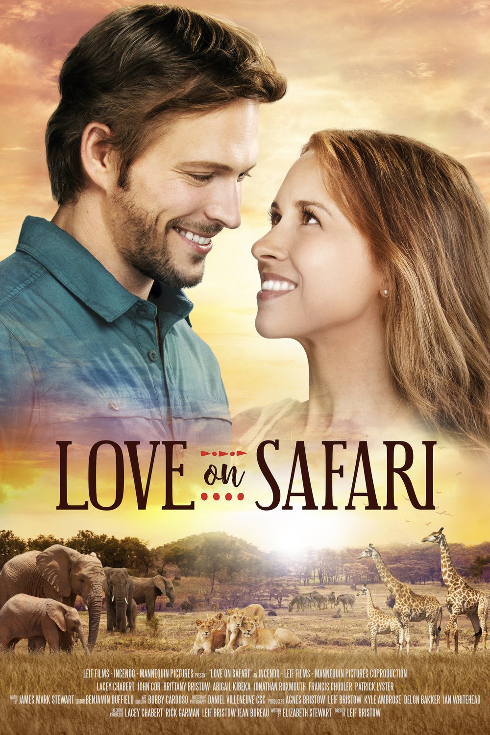 Poster of the movie Love on Safari