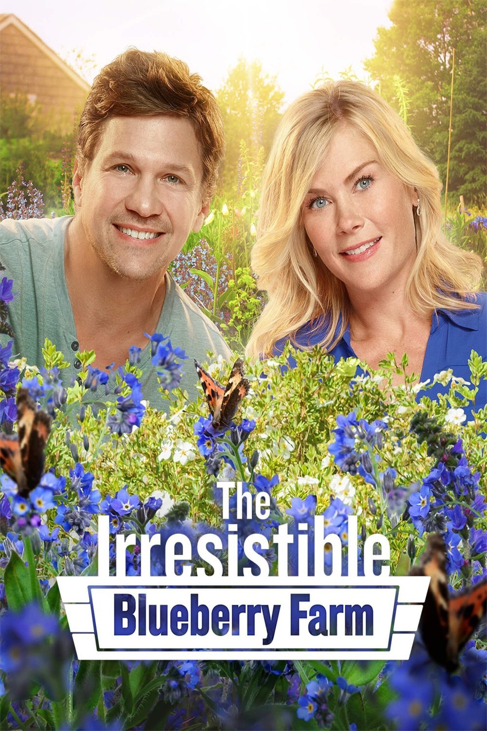 Poster of the movie The Irresistible Blueberry Farm