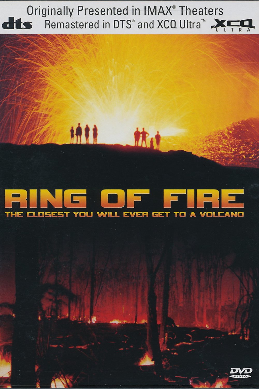 Poster of the movie Ring of Fire