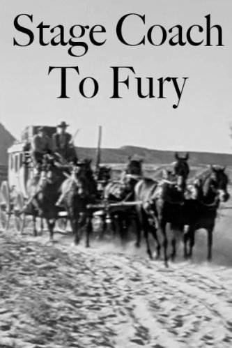 Poster of the movie Stagecoach to Fury