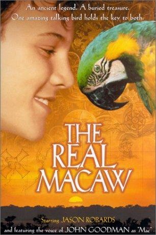 Poster of the movie The Real Macaw