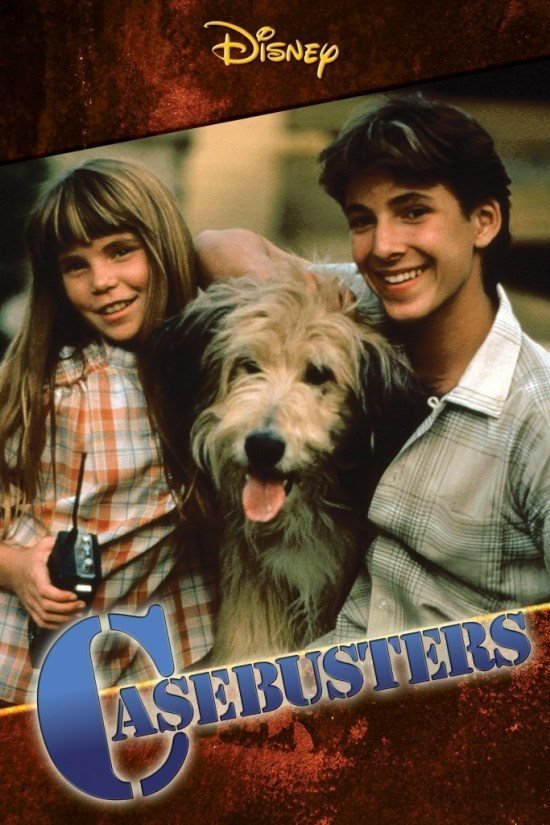 Poster of the movie Casebusters