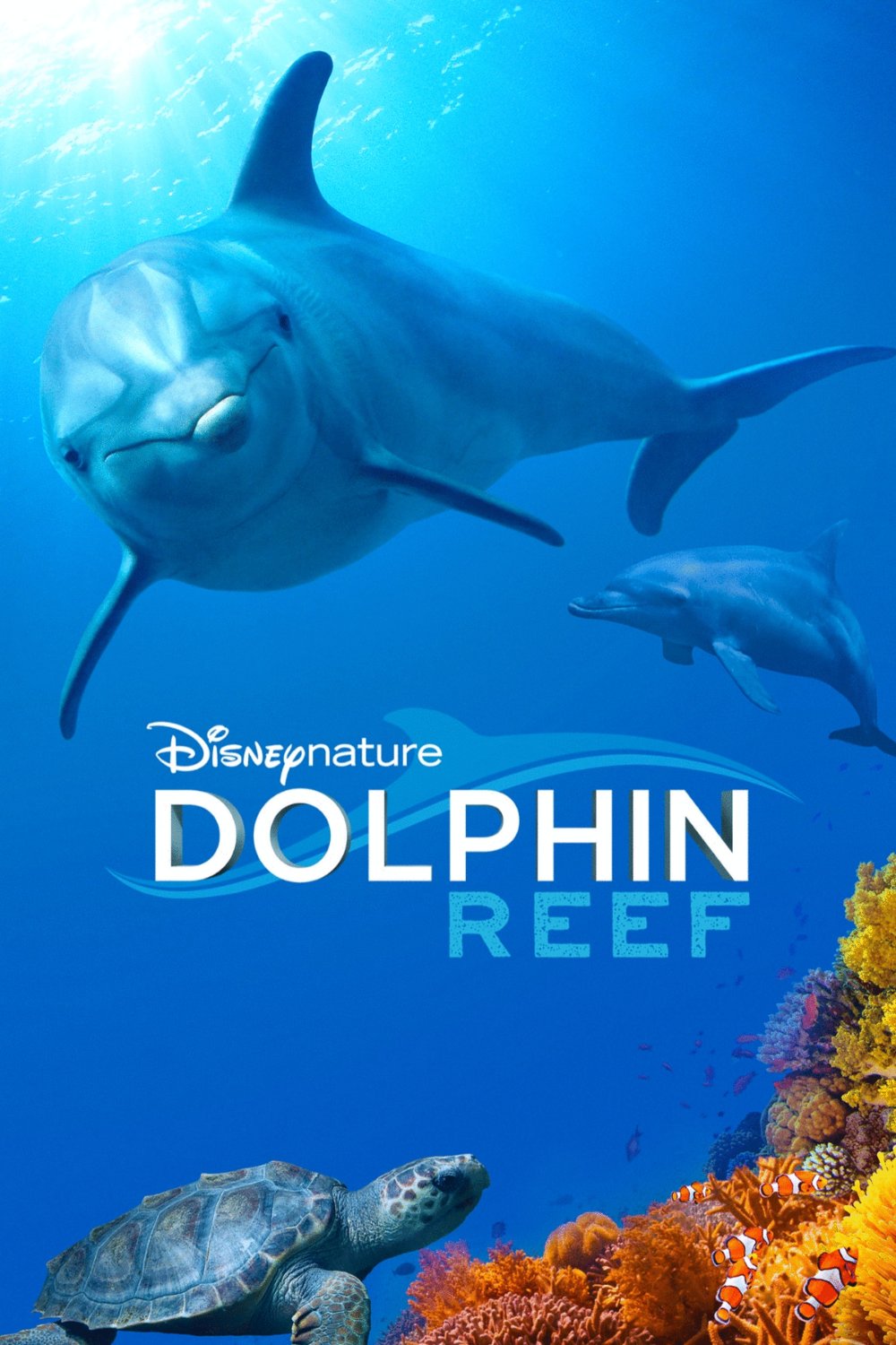 Poster of the movie Dolphin Reef