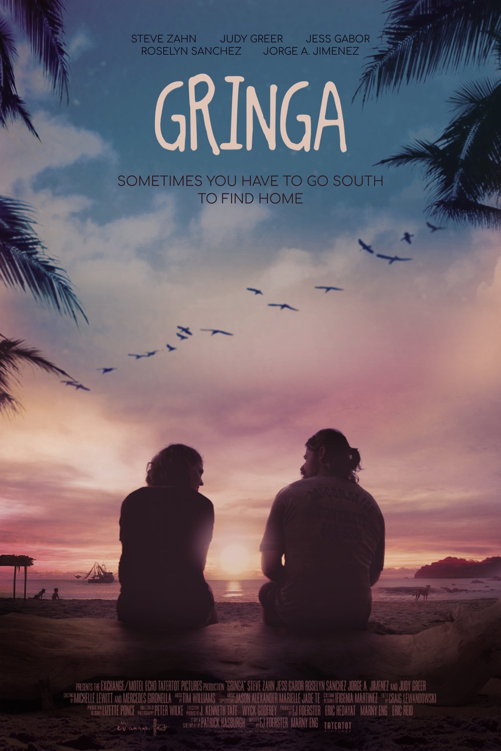 Poster of the movie Gringa