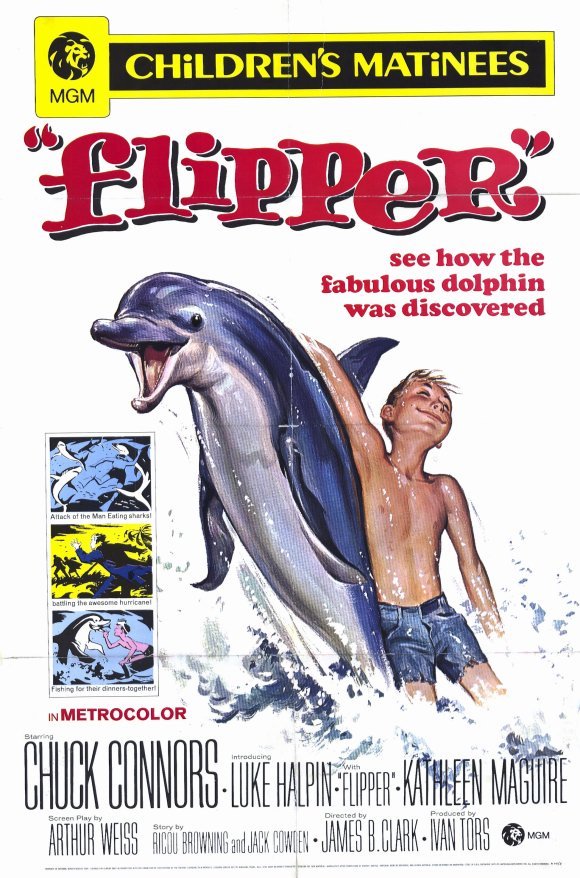 Poster of the movie Flipper