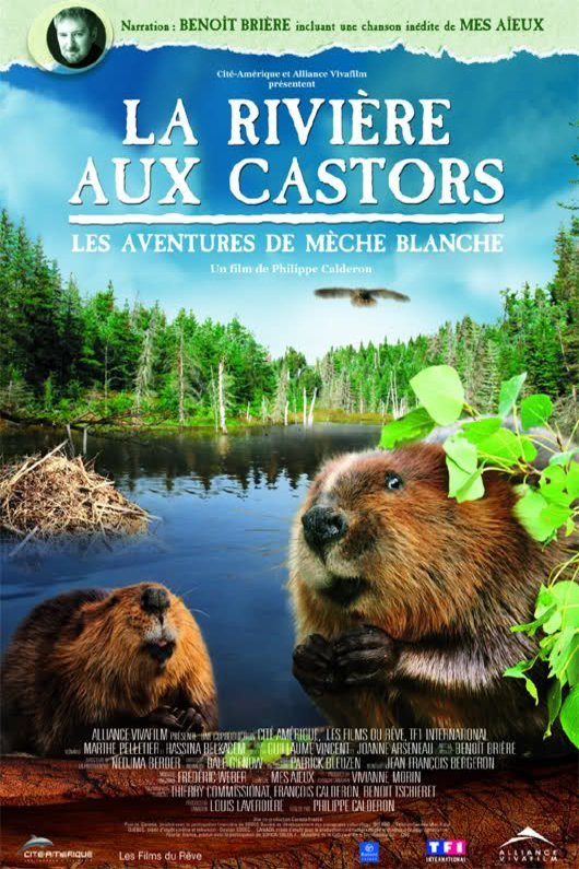 Poster of the movie La Rivière aux castors