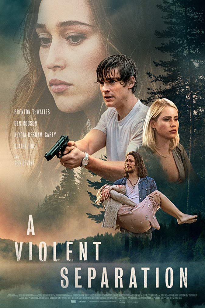 Poster of the movie A Violent Separation
