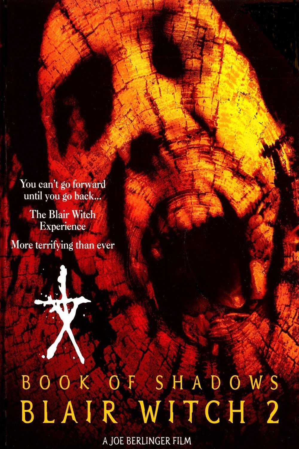 Poster of the movie Blair Witch 2: Book of Shadows