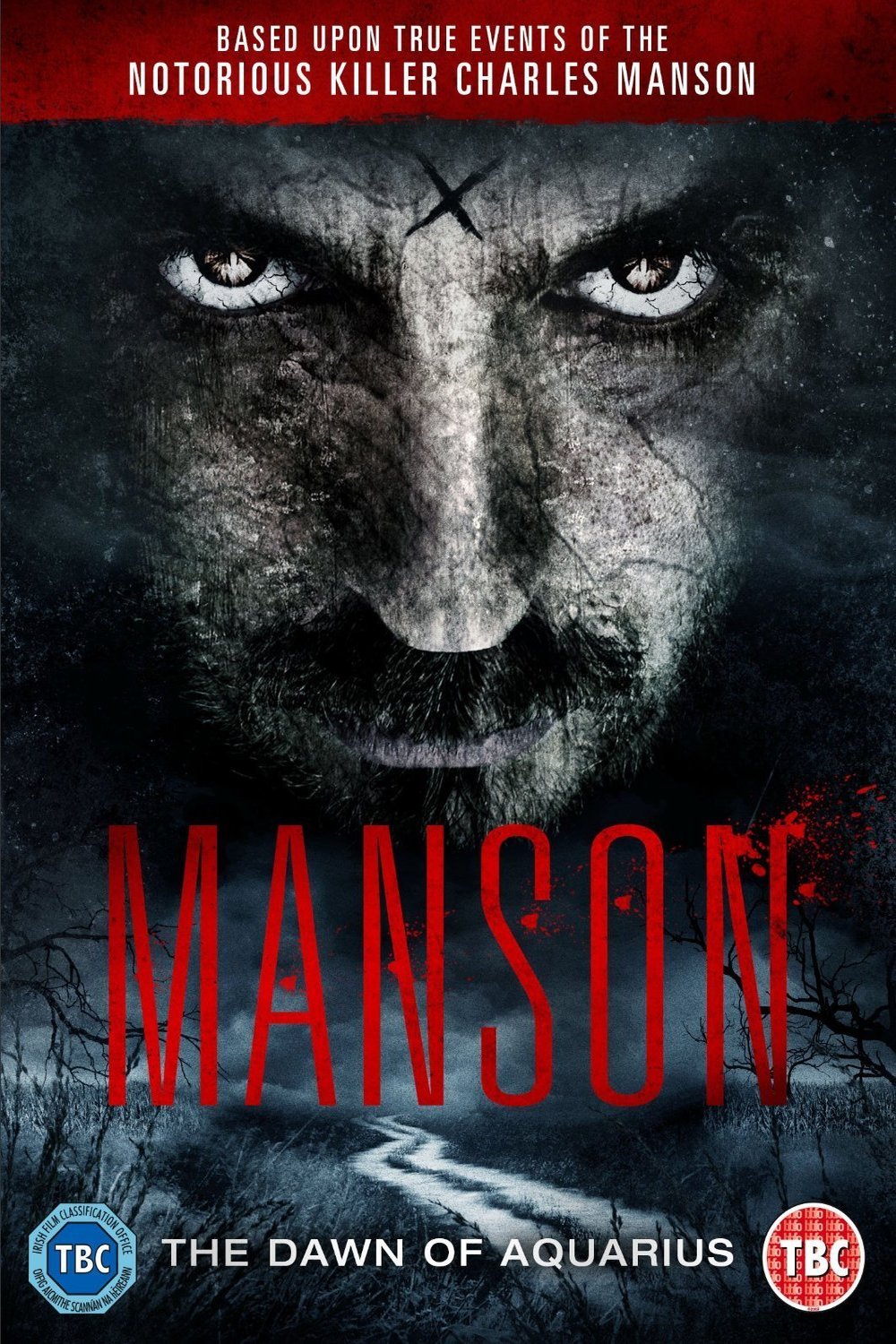 Poster of the movie Manson