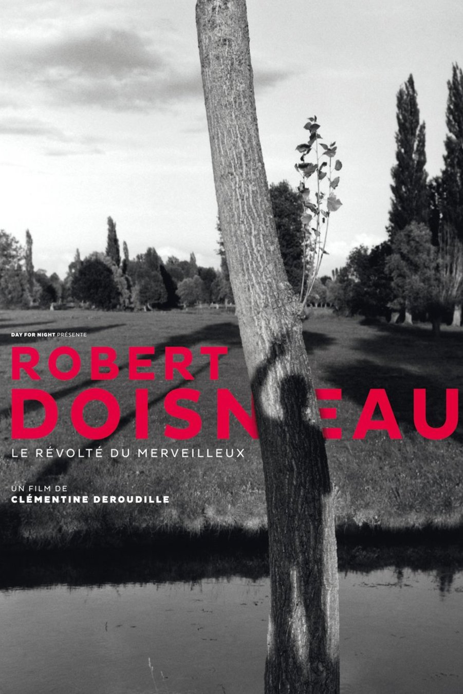 Poster of the movie Robert Doisneau: Through the Lens