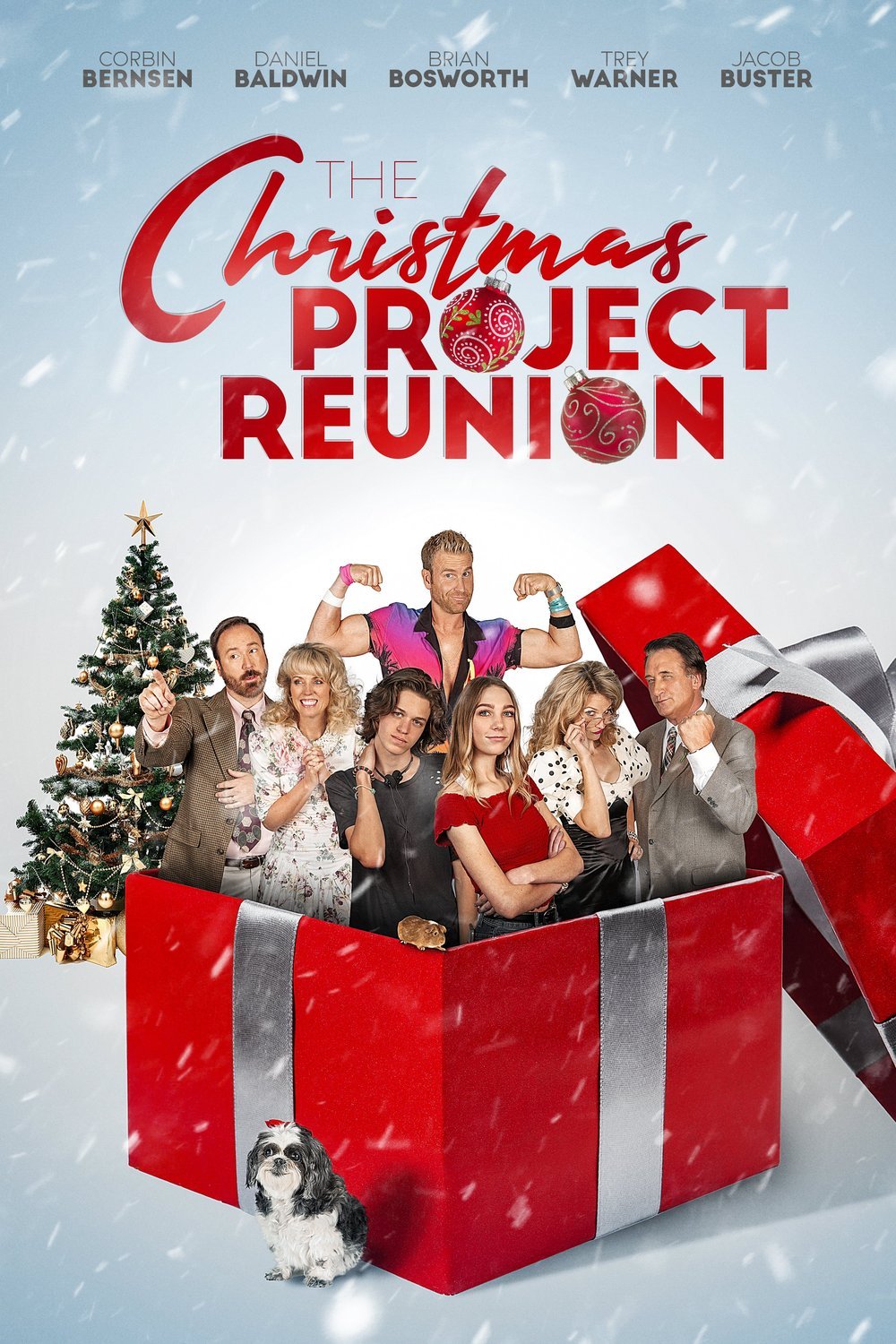 Poster of the movie The Christmas Project 2