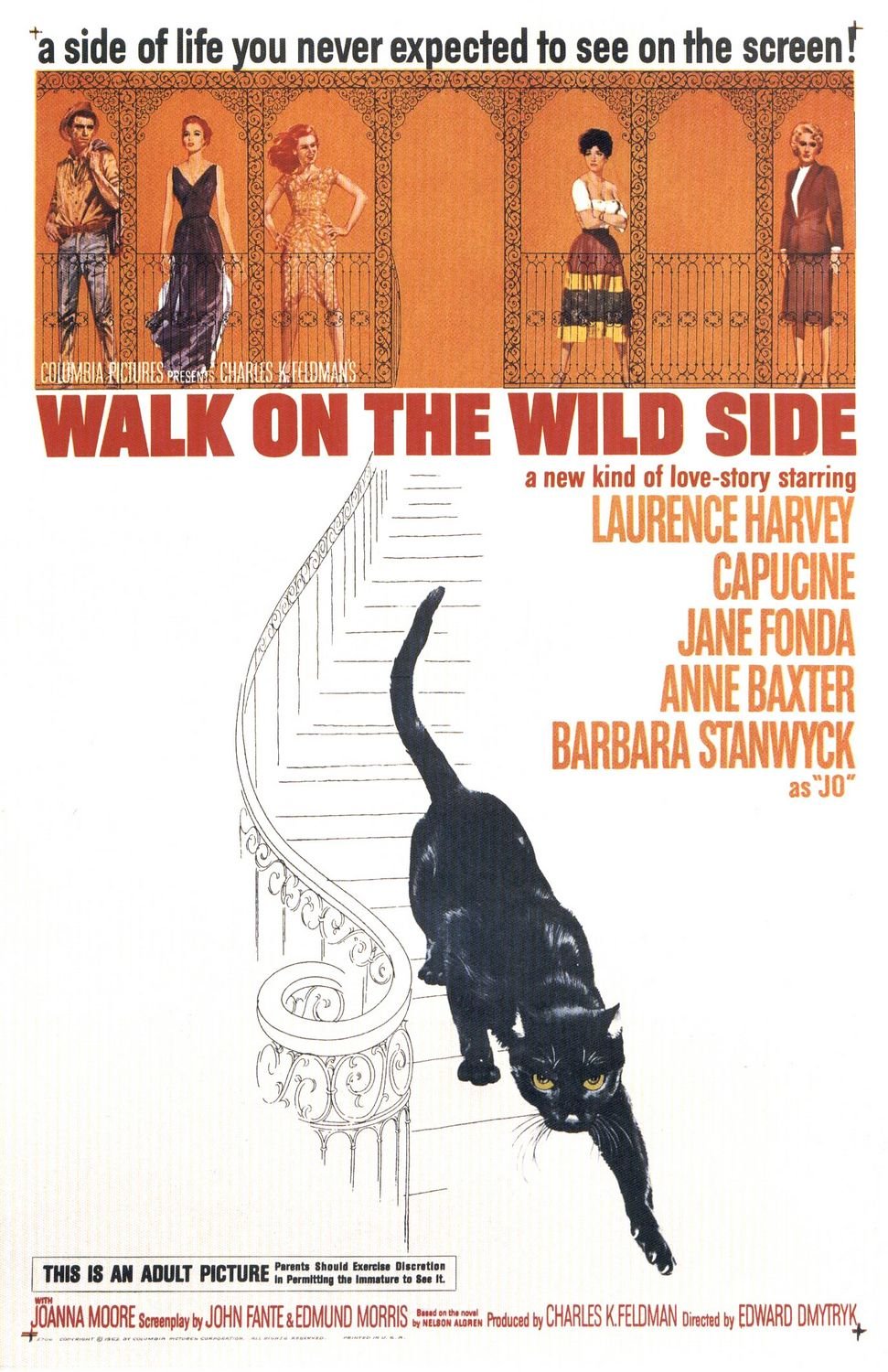 Poster of the movie Walk on the Wild Side