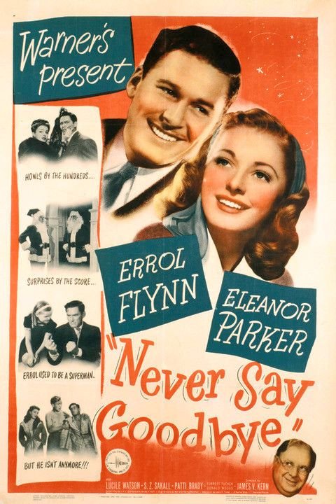 Poster of the movie Never Say Goodbye
