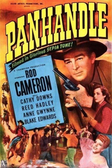 Poster of the movie Panhandle
