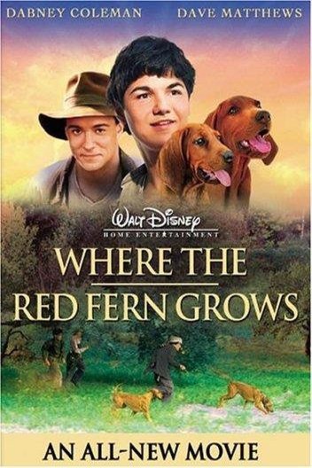 Poster of the movie Where the Red Fern Grows