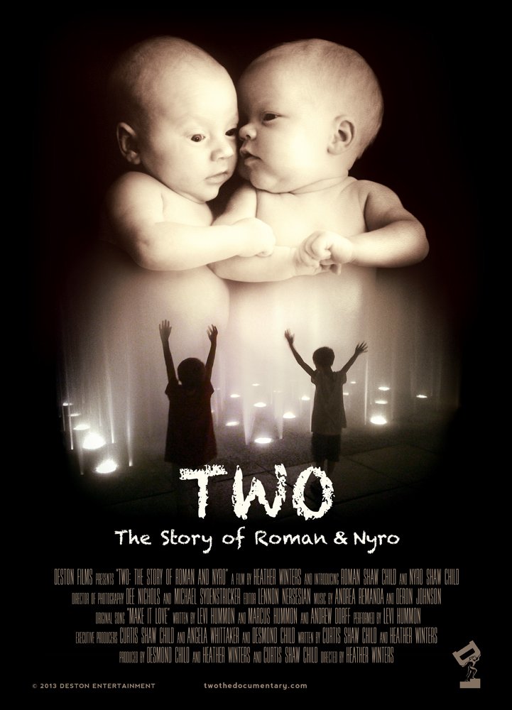 Poster of the movie Two: The Story of Roman & Nyro