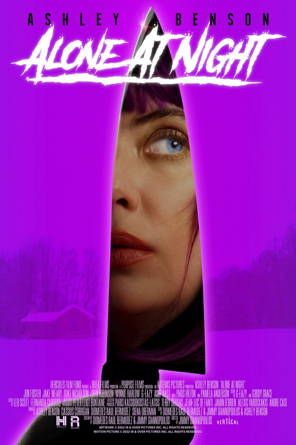 Poster of the movie Alone at Night