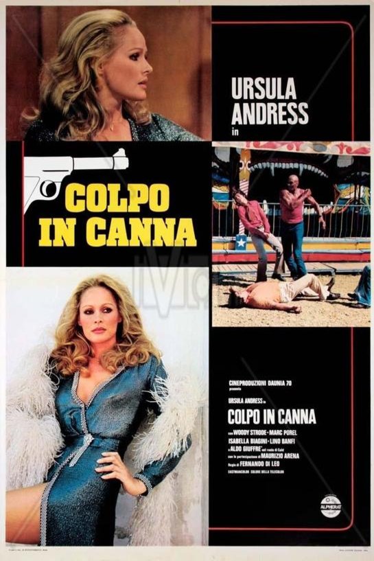 Italian poster of the movie Colpo in canna