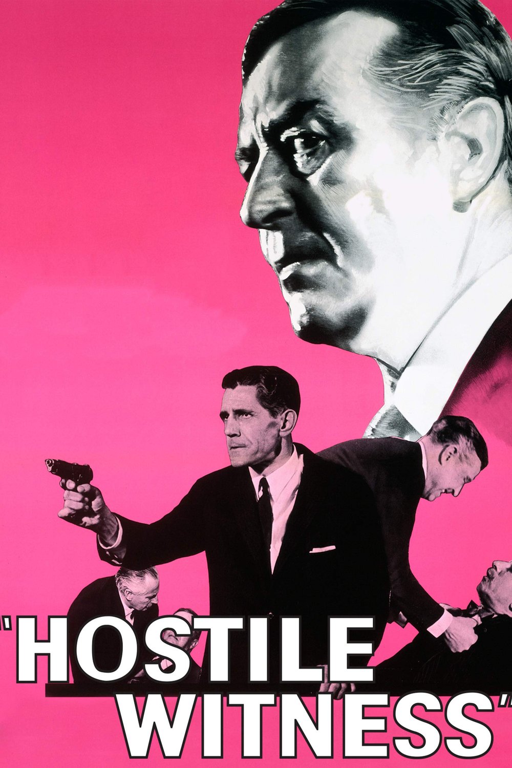 Poster of the movie Hostile Witness