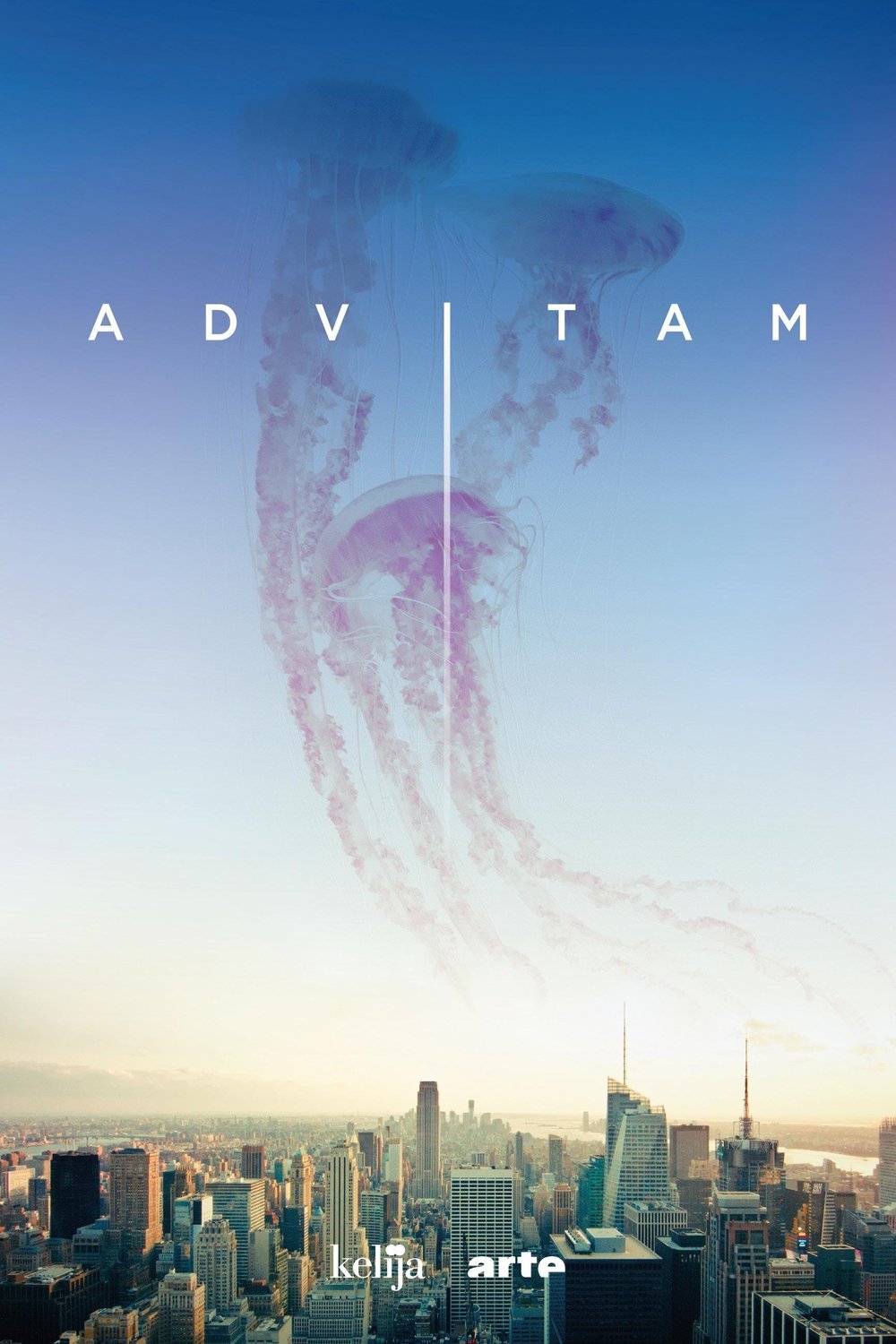 Poster of the movie Ad Vitam