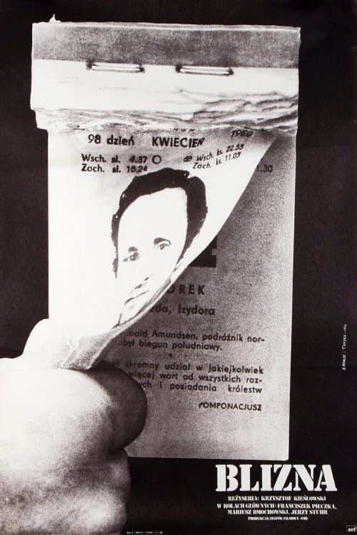 Polish poster of the movie The Scar