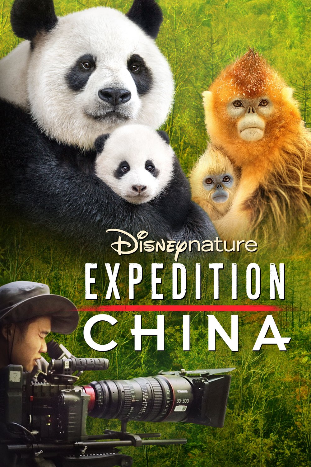 Poster of the movie Expedition China