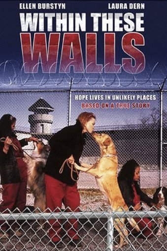 Poster of the movie Within These Walls