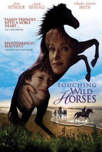 Poster of the movie Touching Wild Horses