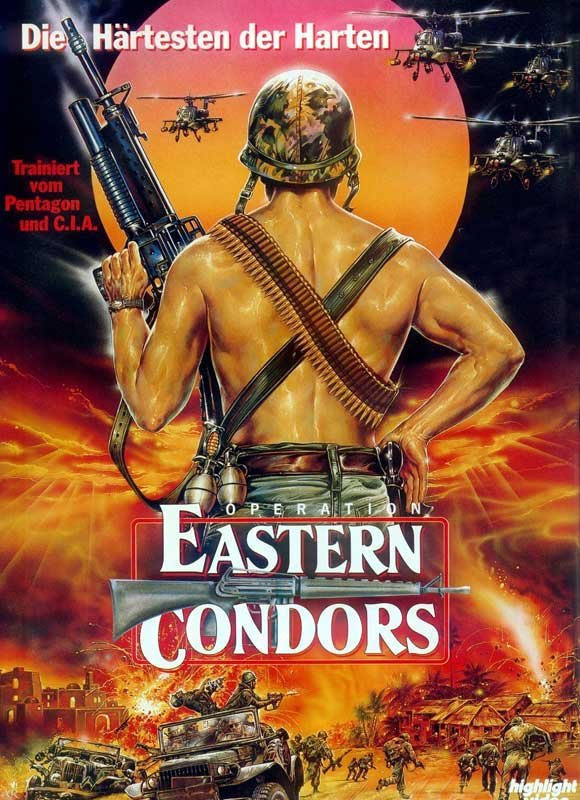 Poster of the movie Eastern Condors