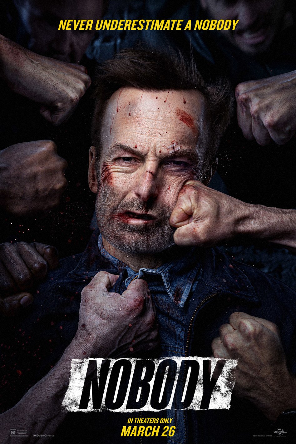 Poster of the movie Nobody