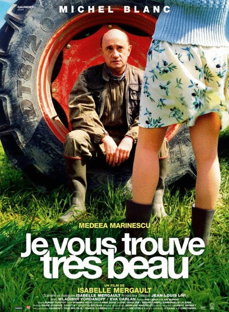 Poster of the movie Je vous trouve très beau