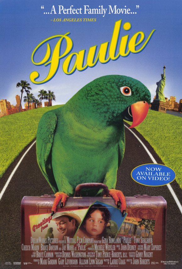 Poster of the movie Paulie