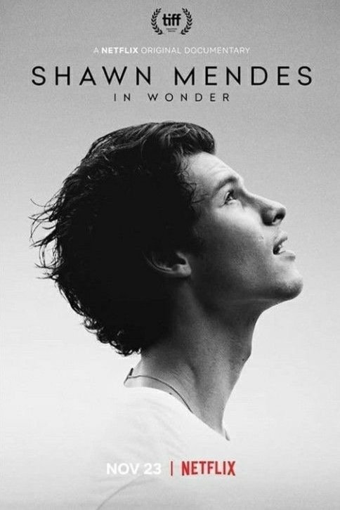 Poster of the movie Shawn Mendes: In Wonder