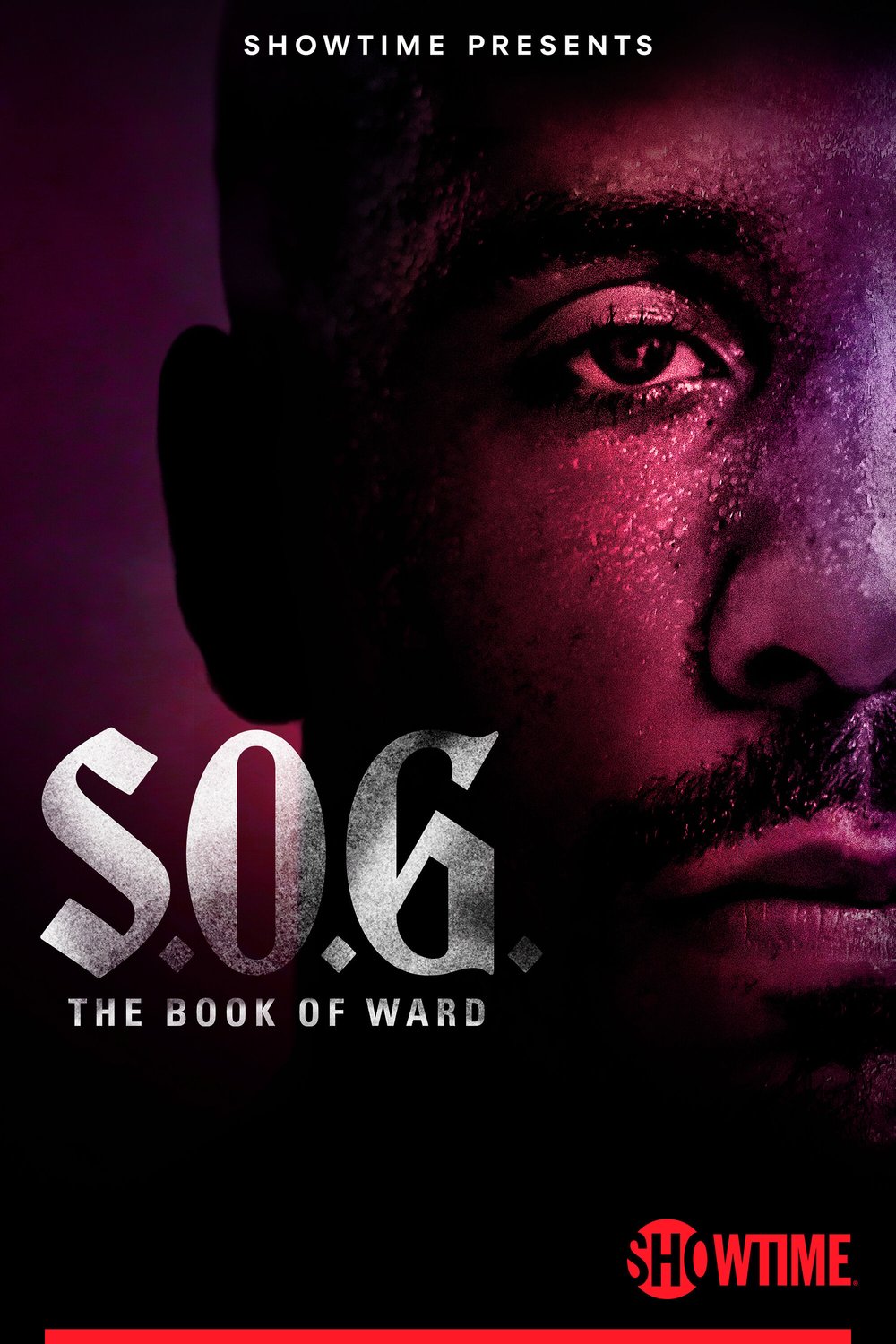 Poster of the movie S.O.G.: The Book of Ward
